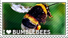 I heart bumblebees