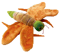 A gif of a beanie baby firefly.